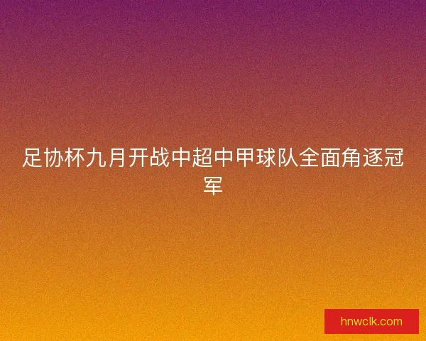 足协杯九月开战中超中甲球队全面角逐冠军