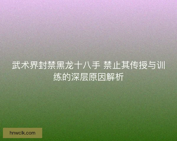 武术界封禁黑龙十八手 禁止其传授与训练的深层原因解析