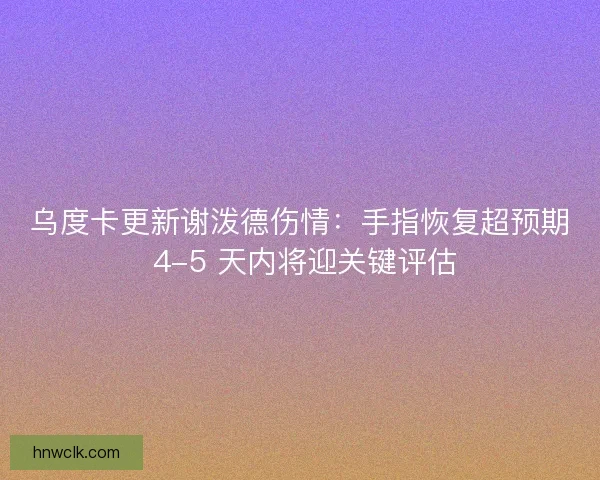 乌度卡更新谢泼德伤情：手指恢复超预期 4-5 天内将迎关键评估