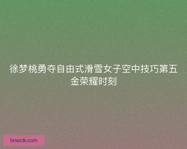 徐梦桃勇夺自由式滑雪女子空中技巧第五金荣耀时刻