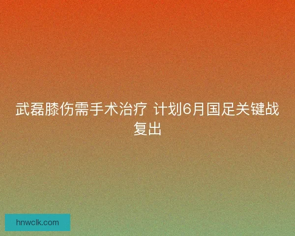武磊膝伤需手术治疗 计划6月国足关键战复出 武磊膝伤需手术治疗 计划6月国足关键战复出